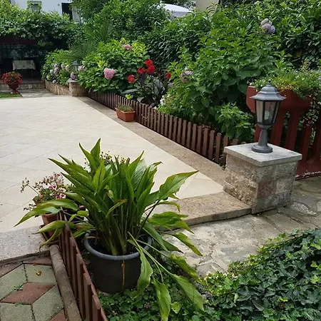 Apartman Diana *